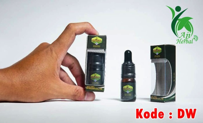 Obat Propolis Brazil With Teknologi Nano Original 15 Gram