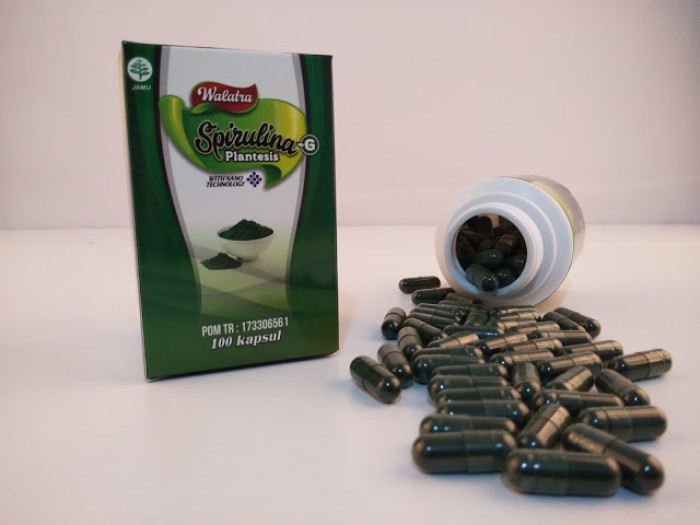 Obat Spirulina Plantensis G Original 200 Gram 